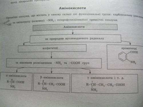 Какие группы содержатся в аминокислотах?