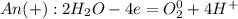 An(+): 2H_2O - 4e = O_2^0 + 4H^+