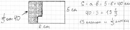 Закрасить третью часть прямоугольника со сторонами 5 и 8 см,