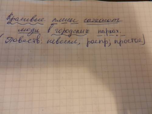 Синтаксический разбор предложения .красивые клёны сажают люди в городских парках