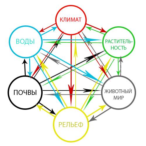 Каким образом связаны компоненты природы в природном компликсе