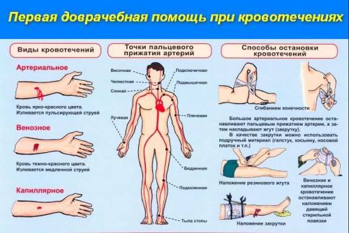 )) а4. чем образовано серое вещество мозга? 1) длинными отростками двигательных нейронов; 2) отростк