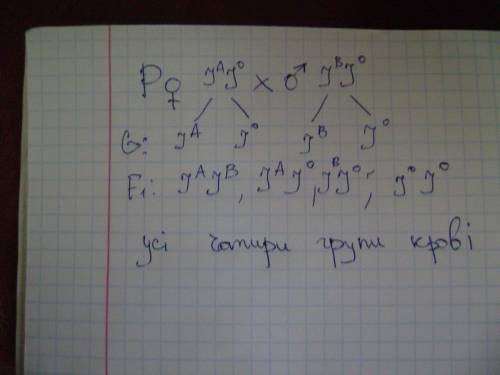 Уматері 2 група, а у батька 3 група . які групи крові можуть бути у їх дітей?