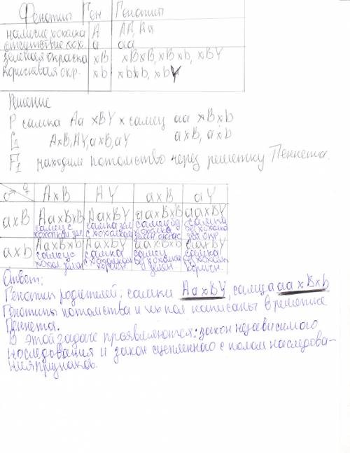 Уканареек наличие хохолка - доминантный аутосомный признак (а); сцепленный с полом ген x^b(доминантн