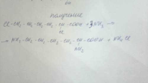 Дано вещество, структурная формула которого изображена ниже : * ch2 - ch2 - ch2- ch2 - ch - cooh | |