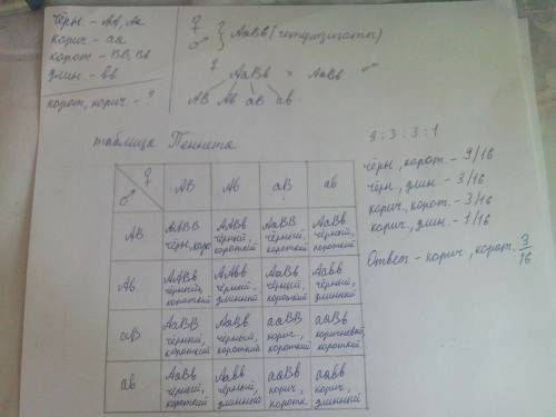 По биологии: у собак черный цвет шерсти доминирует над коричневым, а короткая шерсть - над длинной.