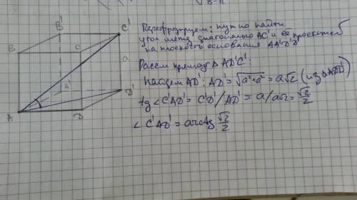 Ребро куба равно а.найдите угол наклона диагонали куба к плоскости основания куба.с подробным описан