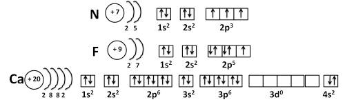 Составьте электроннык схемы и электронные формулы атомов кальция, фтора и азота. выпишите отдельно s