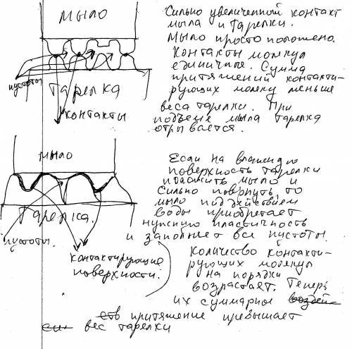 Кусок мыла сильно прижмите к тарелке, водой, и проверните несколько раз. поднимите мыло вверх. вмест