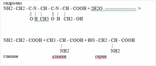 1)глицин+аланин+серин -> 2)гидролиз полученного белка(с водой)