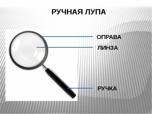 1.опишите назначение ручной лупы. 2.укажите,какое важное биолоическое явления было открыто только с