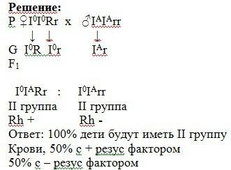 Уматери первая группа крови с положительным резус-фактором (гетерозигота), у отца – вторая (гомозиго