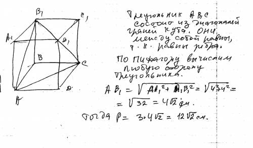 Длина ребра куба adcda1b1c1d1 равна 4 см. вычислите периметр треугольника ab1c