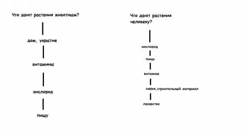 Нужен рисунок схема что растения животным и человеку? 3 класс.мне рисунок!