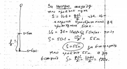 Какой путь пройдет свободно тело за шестую секунду? v0=0м/с, ускорение свободного падения принять ра