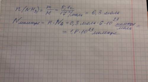 Определить число молекул содержащих в 5,1 грамм nh3