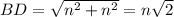 BD= \sqrt{n^2+n^2}=n\sqrt{2}