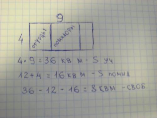 Начерти план участка прямоугольной формы со сторонами 4 метра и 9 мера,изображая 1 метр в квадрате о