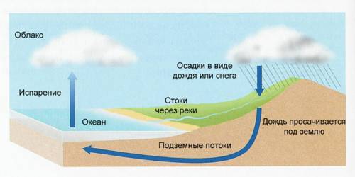 Подготовьте доклад на тему круговорот воды в природе, можно с картинками