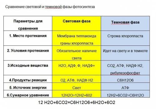 Таблица: параметры для сравнения | световая фаза | темновая фаза 1. место протекания | | 2. условия