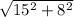 \sqrt{ 15^{2}+ 8^{2} }