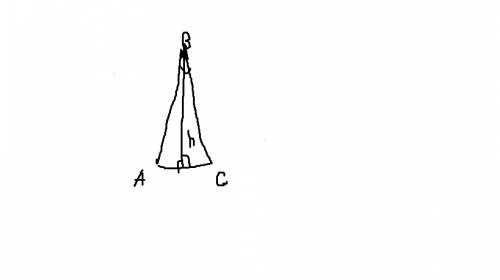 Начертите равнобедренный триугольник авс с основанием ас и острым углом в.проведите высоту из вершин