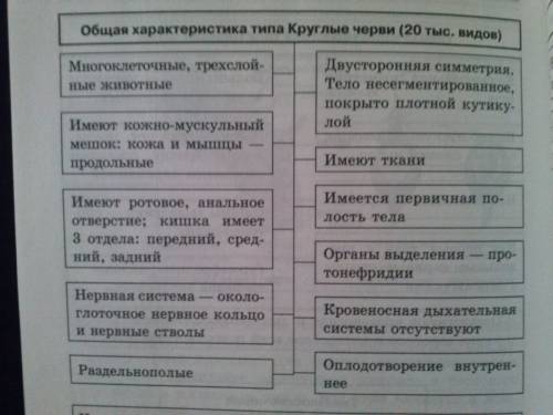 Заполните таблицу 15 . на тему особенности червей разных типов. типы червей: плоские ,круглые,коль