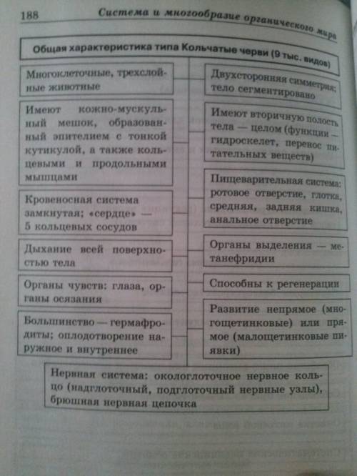 Заполните таблицу 15 . на тему особенности червей разных типов. типы червей: плоские ,круглые,коль