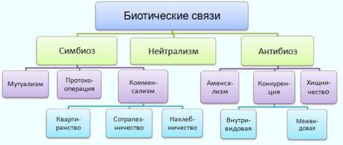 Взаимоотношения живых организмов в природе подборка иллюстраций кто понимает или скажите что нарисов