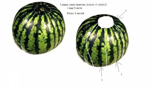 Можно ли разрезать арбуз на-4 части так чтобы после того как его съкли осталось 5 корок