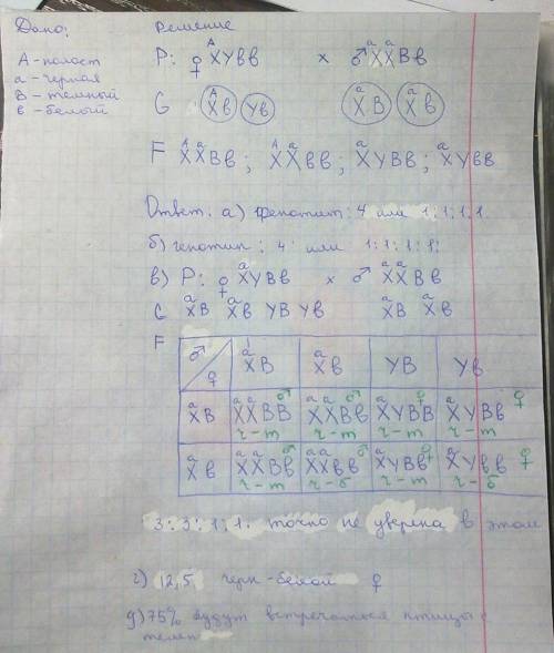 Укур полосатую окраску оперения определяет доминантный ген а, сцепленный с полом, а чёрную – его рец