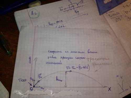 По какой траектории движется тело,брошенное под углом к горизонту?