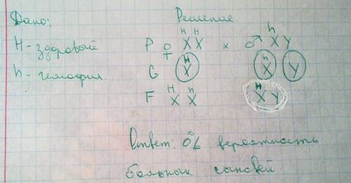 Рецессивный ген вызывающий гемофилию локализован в x хромосоме.отец гемофилик мать здорова.какова ве