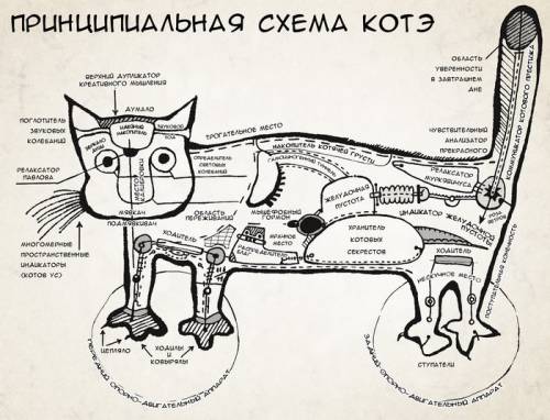 Лексическое значение слова свежая газета