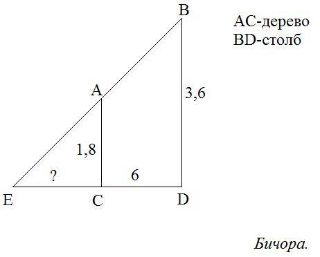 Дерево высотой 1,8 метра растет на расстояние 6метров от столба,на котором висит фонарь на высоте 3,