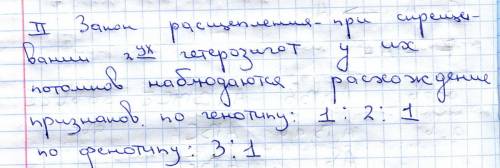 Учеловека шестипалость доминирует над нормальным строением кисти. определите вероятность рождения но