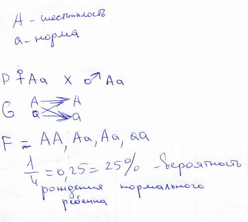 Учеловека шестипалость доминирует над нормальным строением кисти. определите вероятность рождения но