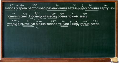 Разобрать по членам предложение тополя у дома бестолково размахивали ветвями и склоняли верхушки.пов