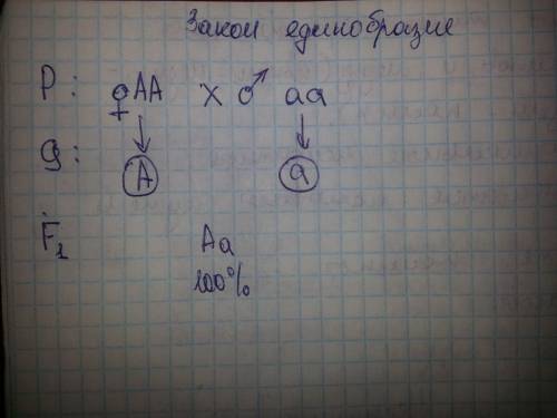 Уголубоглазого отца и кареглазой матери все дети кареглазые. запишите генотипы детей и родителей. де