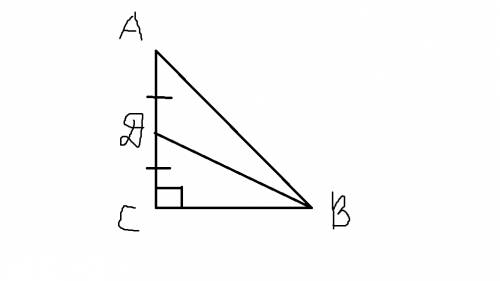 Впрямоугольном треугольнике abc, с прямым углом с, катет ас=2 см, медиана вд, проведённая из вершины