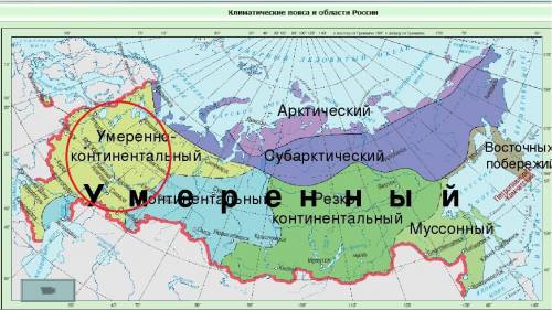 Вкаком климатическом поясе расположена большая часть равнины?