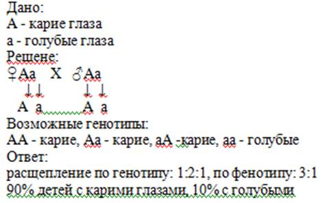 Определите генотипы и фенотипы потомства от брака кареглазых гетерозиготных родителей