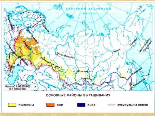 Посевы кукурузы в общем с районами выращивания а)яровой пшеницы б)ржи в)льна