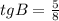 tgB=\frac{5}{8}