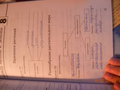 Природоведенье 5 класс рабочая тетрать ст.75 . 117,118