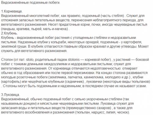 1.какие видоизменные подземные побеги вы знаете? назовите растения имеющие корневище,клубень и луков