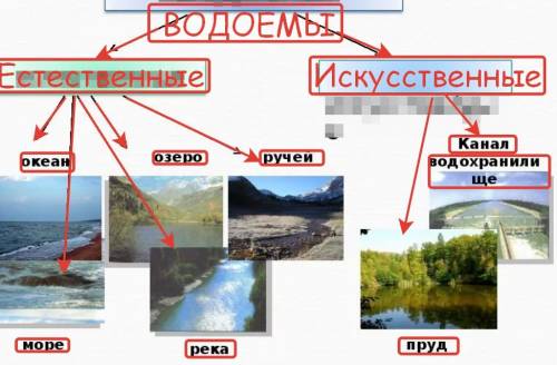 Разгадай ребус найдите карточки с изображением водоемов. на какие группы вы бы их распределили? о вн