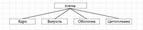 Какую связь отражает каждая схема отношений клетка ядро вакуоль оболочка цитоплазма