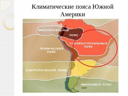 Вкаких климатических поясах лежит бразилия?