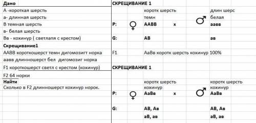 Унорок длина шерсти и её окрас наследуются независимо. от скрещивания дигомозиготных короткошерстных